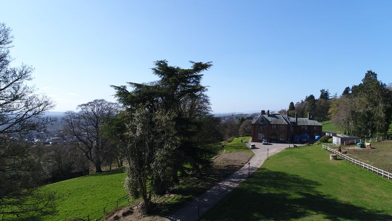 Park Hill house behind a large cedar tree